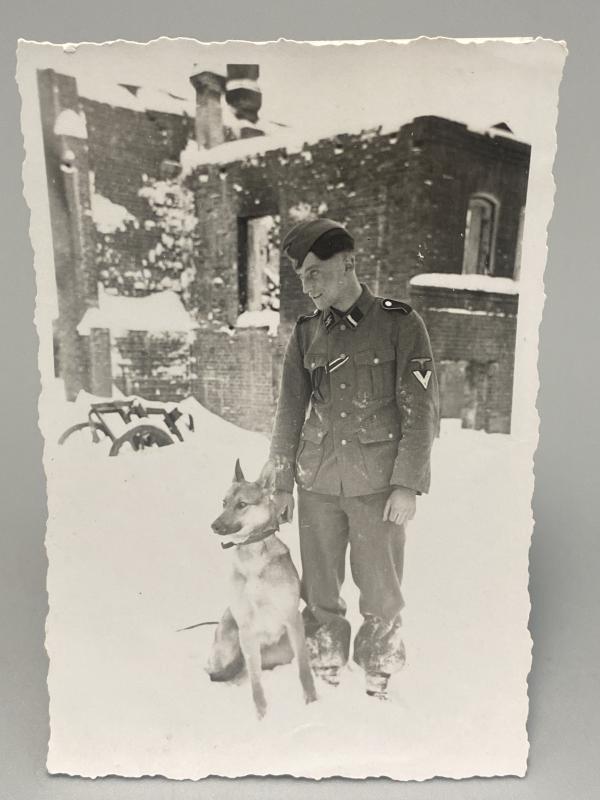 Waffen SS NCO with German Shepard Photograph
