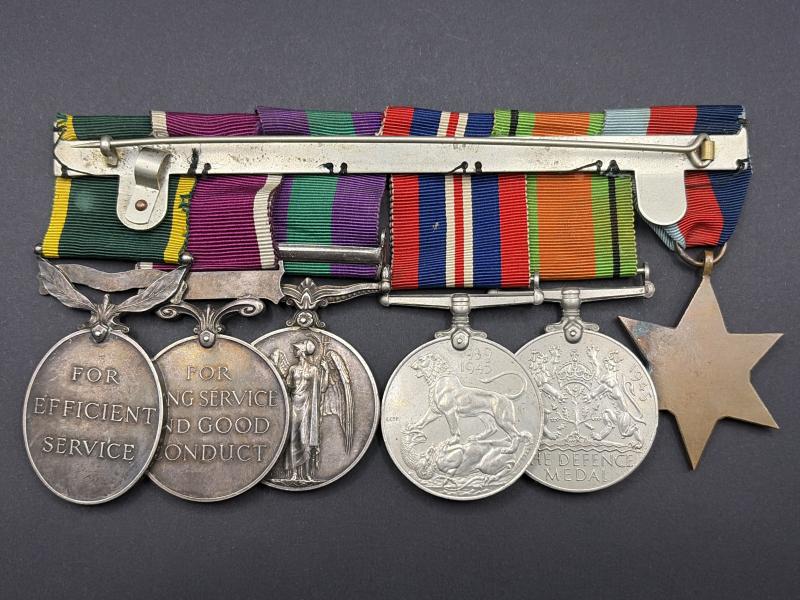 Medal Group 2555627 W.O.CL.2.W.H.G.Wilson R.E.