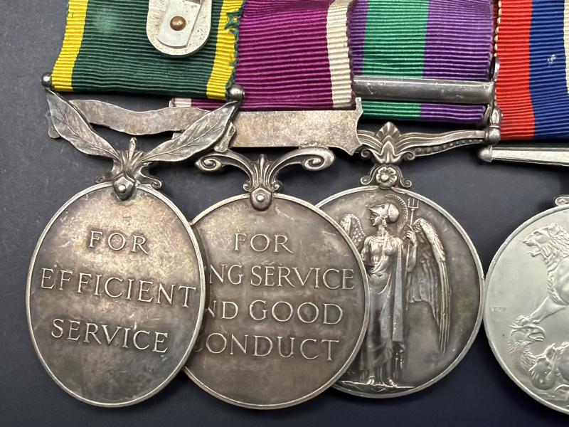 Medal Group 2555627 W.O.CL.2.W.H.G.Wilson R.E.